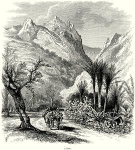 Limino (rytina) od English School