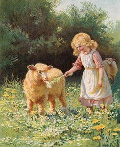 Holčička krmí květinu ovci na louce (chromolitho) od English School