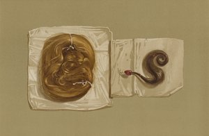 Vlasový pramen skotské královny Marie, pramen vlasů krále Karla I. (chromolitho) od English School