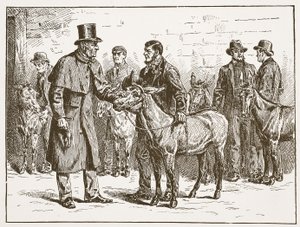 Lord Shaftesbury kontroluje výstavu oslů, ilustrace z anglikánské církve: Spence-Jones, vyd. cca 1910 (sépiová fotografie). od English School