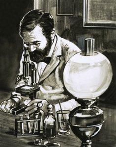Louis Pasteur od English School