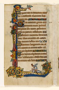 MS 1-2005, fol. 115v: Králík jedoucí na psovi, lov, okrajová dekorace z Macclesfieldského žaltáře, Use of Sarum, East Anglia, c.1330 od English School