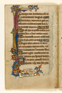 MS 1-2005, fol. 45v: An Ape peering in a Mans Bottom, okrajová dekorace z Macclesfieldova žaltáře, Use of Sarum, East Anglia, c.1330 od English School