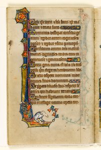 MS 1-2005, fol. 47v: Groteskní okrajová dekorace z Macclesfieldského žaltáře, Use of Sarum, East Anglia, c.1330 od English School
