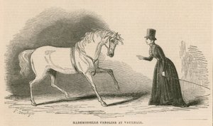 Mademoiselle Caroline ve Vauxhall Gardens v Londýně od English School