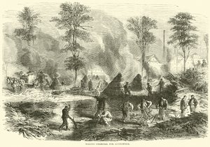 Výroba dřevěného uhlí pro střelný prach, říjen 1870 od English School