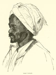 Muž Nubian od English School