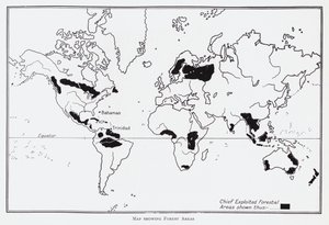 Mapa zobrazující lesní oblasti (litho) od English School