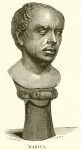 Marius od English School