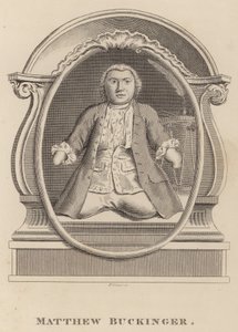 Matěj Buckinger od English School