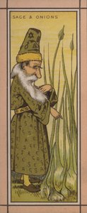 Ilustrace menu: Šalvěj a cibule (barva litho) od English School