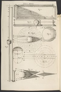Mikrografie nebo některé fyziologické popisy nepatrných těl vyrobených lupami, s pozorováními a dotazy na ně, Robert Hooke od English School