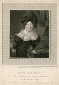 Slečna Sarah Biffinová, umělkyně od English School