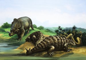 Monoclonius a Scolosaurus od English School