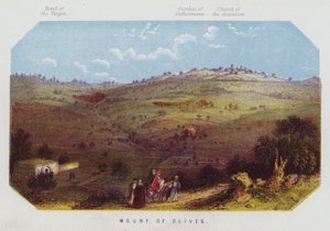 Olivová hora (barva litho) od English School