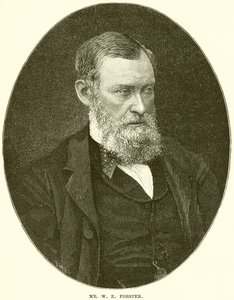 pan W. E. Forster od English School