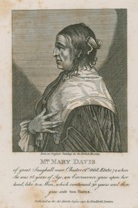 Paní Mary Davis z velkého Saughall poblíž Chesteru, 1668 od English School