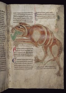Ms.254 f.24 r Cocodrillus Swallowing a Man od English School