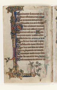 Ms 1-2005, f.175v, z Macclesfield Psalter, Use of Sarum, East Anglia, c.1330 (pero, inkoust a tempera na pergamenu) od English School