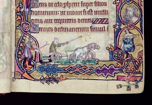 Ms 1-2005, ff.76v-77r: David a blázen, historická iniciála z Macclesfieldova žaltáře, Use of Sarum, East Anglia, c.1330 (vellum) (detail z 276994) od English School