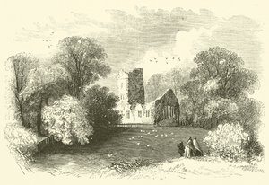 Mucruss Abbey (rytina) od English School