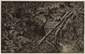 Mulgrave Woods, nedaleko Whitby (litografie) od English School