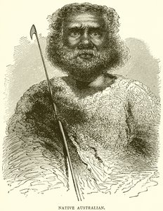 Původní Australan od English School