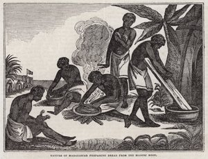 Domorodci z Madagaskaru připravující chléb z kořene manioku (rytina) od English School