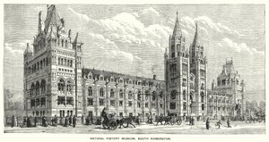 Natural History Museum, South Kensington (rytina) od English School