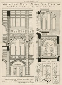New Natural History Museum, South Kensington, Londýn od English School