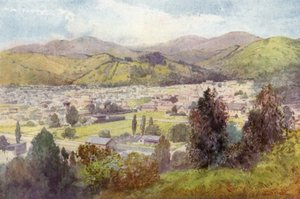 Nový Zéland: Nelson (barevná litografie) od English School