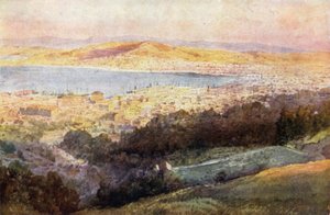 Nový Zéland: Wellington (barevná litografie) od English School