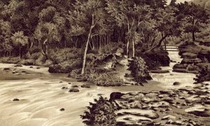 Severní Devon: "The Watersmeet", Lynmouth (litografie) od English School