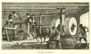 Olejárna v Řecku od English School