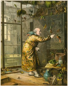 Starý muž ve své voliéře od English School