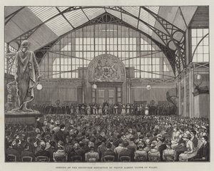 Zahájení výstavy v Edinburghu prince Albert Victor z Walesu (rytina) od English School