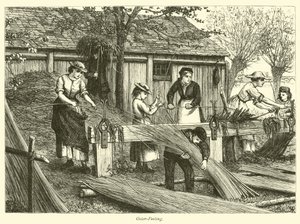 Vrbový peeling od English School