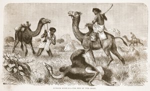 Lov pštrosů- konec honičky, ilustrace z Obrazového vydání života a objevů Davida Livingstona od J. Ewinga Richieho, pub. od A. Fullarton & Co., 1876 od English School