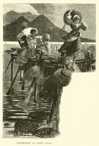 Ústřicové postele v Santa Lucia od English School