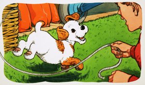 Paddy Paws od English School