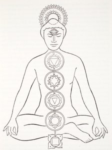 Padmasana nebo lotosová pozice od English School