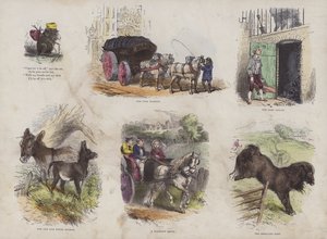 Stránka z Atraktivní obrázkové knihy (barevná rytina) od English School