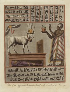 Část egyptského rukopisu nalezeného v Swathing of a Mumie od English School
