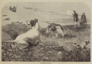 Partridge Shooting (rytina) od English School