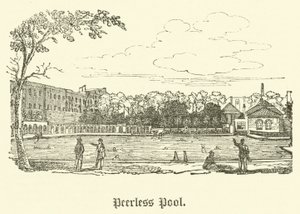 Peerless Pool (rytina) od English School