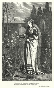 Percy Bysshe Shelley: Shelley Shelsey: Ilustrace k filmu Citlivá rostlina (rytina) od English School