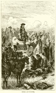 Peter I v Pultowa od English School