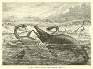 Plesiosaurus a Ichthyosaurus od English School
