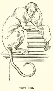 Básník Pug od English School