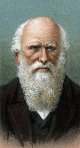 Portrét Charlese Roberta Darwina (1809-1882) - Ze série "" Leaders of Men "" - Chromolitografie - Anglická škola, 20. století - od English School